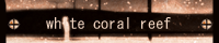 White coral reaf