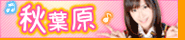 blog用画像