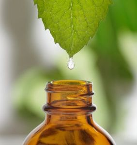 aaa