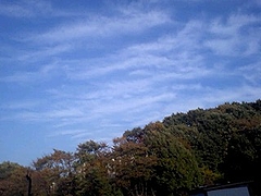 081118_1518~0002