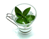 mint