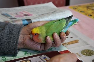 IMG_0480