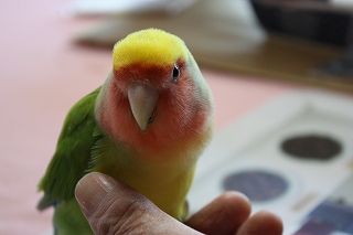 IMG_0474