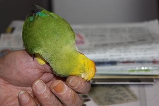 IMG_0467