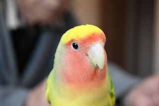 IMG_0447