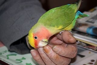 IMG_0468