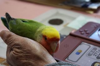 IMG_0477