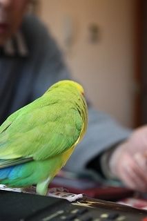 IMG_0448