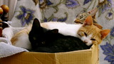 e3c8b610.jpg