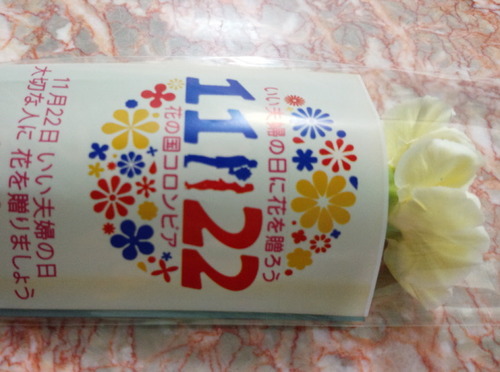 1122カーネーション