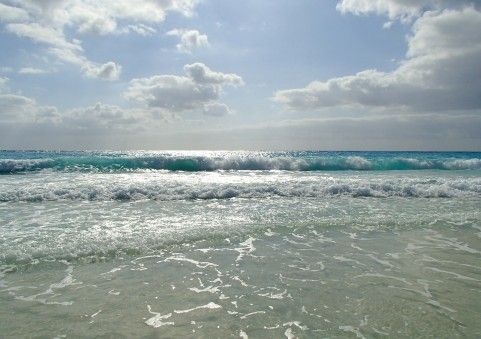 海