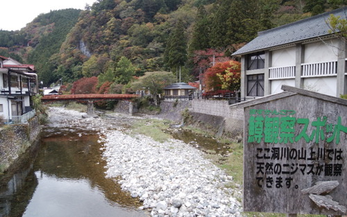 IMG_20181023_160021(1)