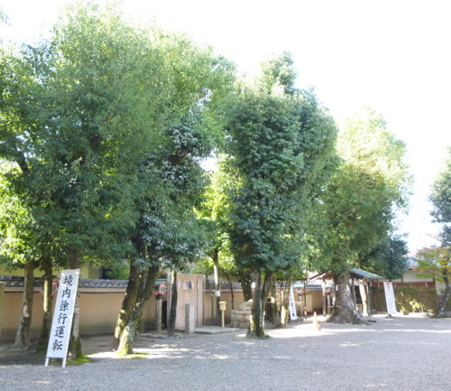 P1070563(1)