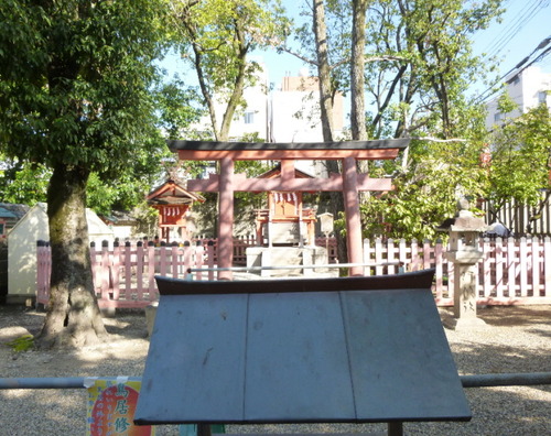 P1070558(1)