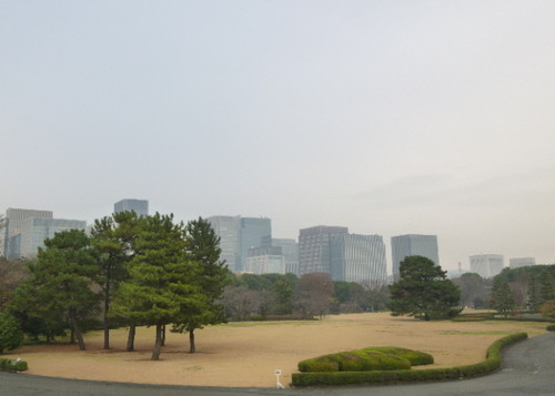 P1070989(1)