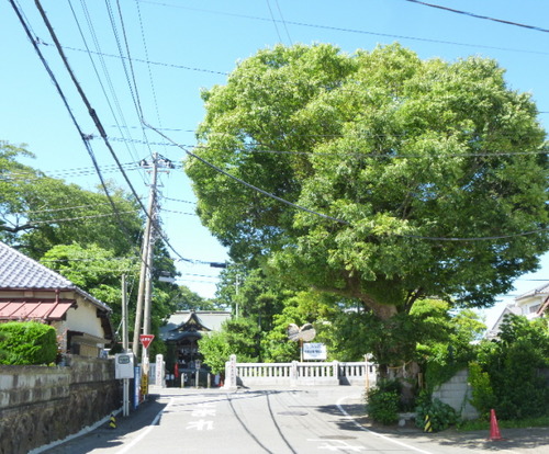 P1060988(1)
