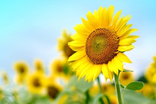 06c9e95bd54aa166cb7994ab10f8820b_s