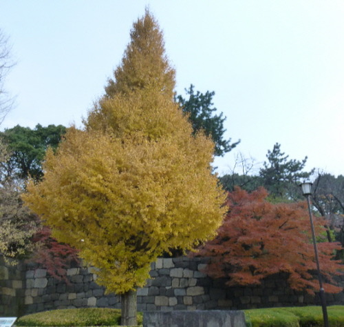 P1070978(1)