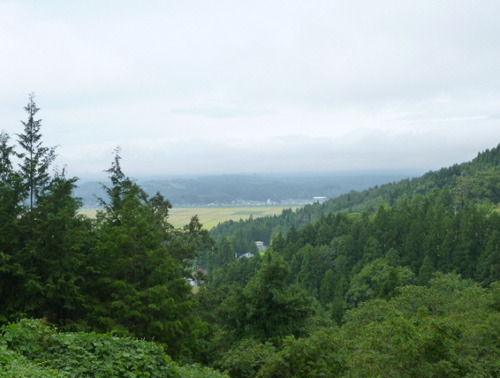 P1050882(1)