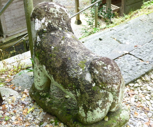 P1050866(1)