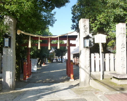 P1070549(1)
