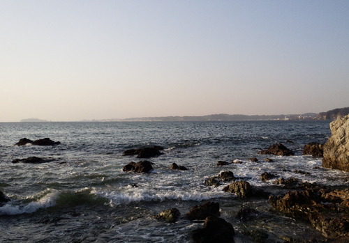 森戸の海