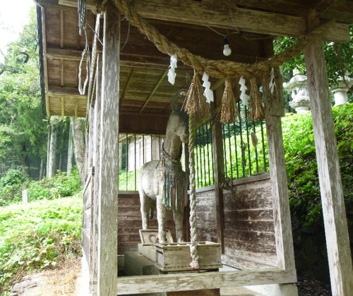 P1050863(1)