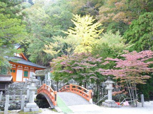 P1070347(1)