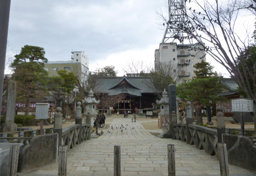 P1060425(1)