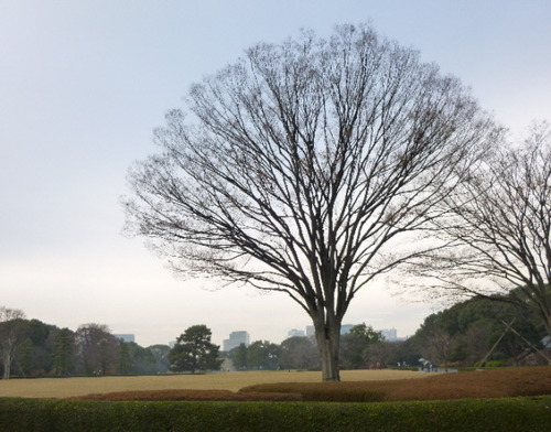 P1070979(1)