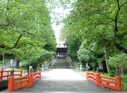 P1050901(1)