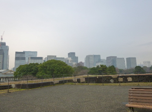 P1070986(1)