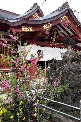 3.20 スサノオ神社