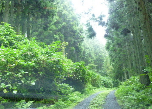 P1050879(1)