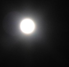 満月1
