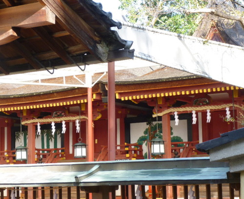 P1070562(1)