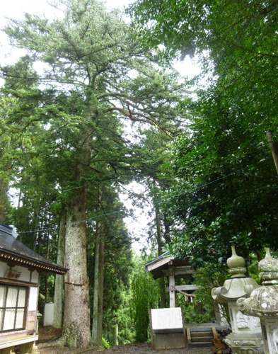 P1050870(1)