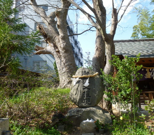 P1060509(1)