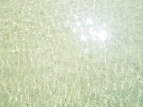 波紋