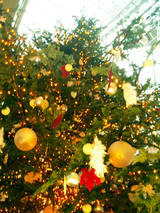 TreeHills2
