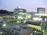 380324c8.JPG