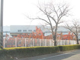 120118