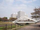 6cec91e5.JPG