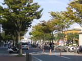 8873c9b1.JPG
