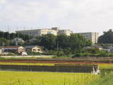 96ee968f.JPG