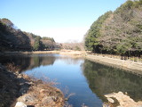 120113