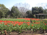 120407