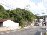 c39f4c35.JPG