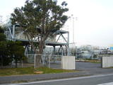 c653c3a2.JPG