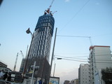cd2b6d54.JPG
